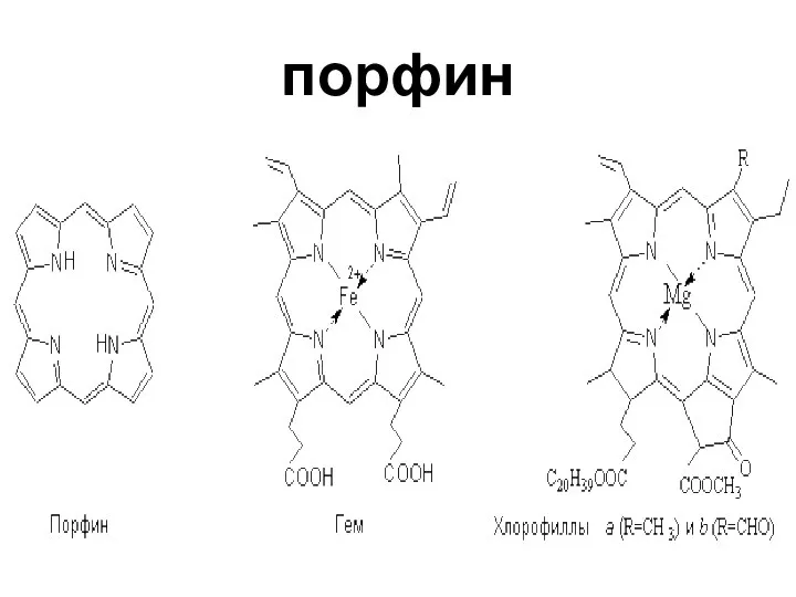 порфин