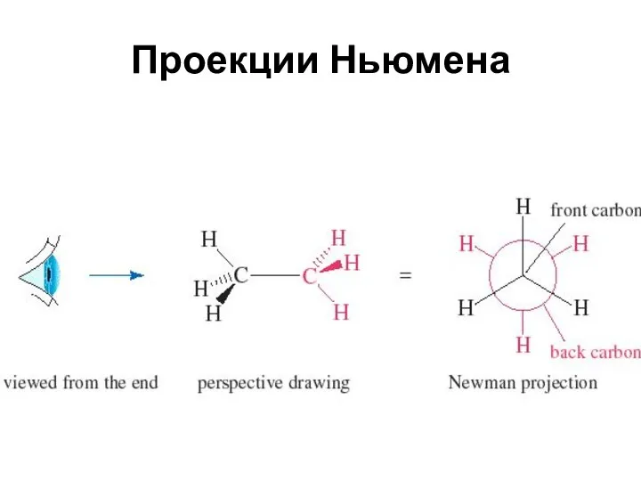 Проекции Ньюмена