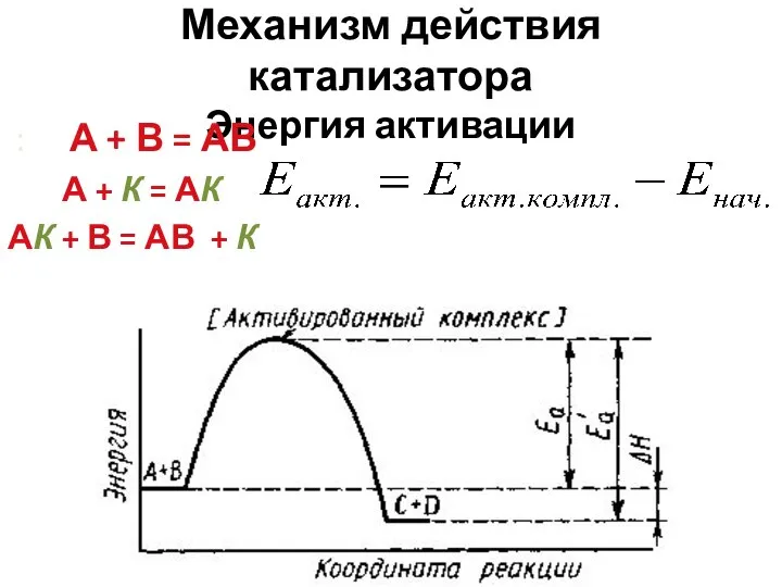 Механизм действия катализатора Энергия активации : А + В = АВ