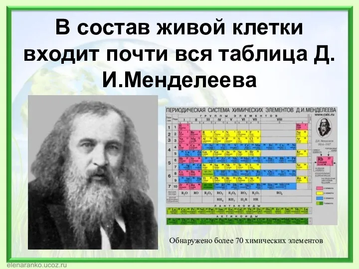 В состав живой клетки входит почти вся таблица Д.И.Менделеева Обнаружено более 70 химических элементов