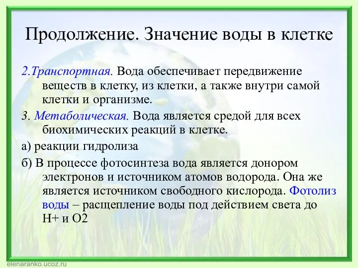 Продолжение. Значение воды в клетке 2.Транспортная. Вода обеспечивает передвижение веществ в