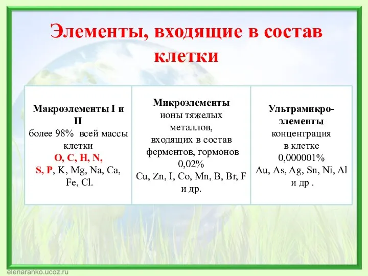 Элементы, входящие в состав клетки Макроэлементы I и II более 98%