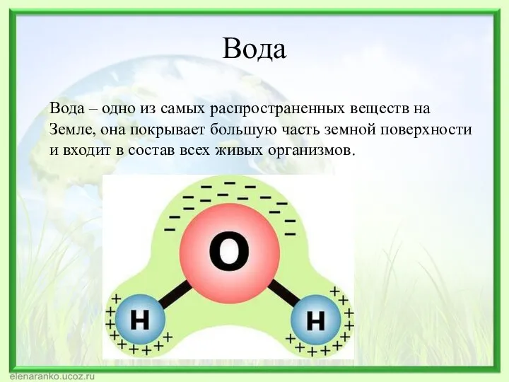 Вода Вода – одно из самых распространенных веществ на Земле, она