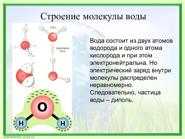 Строение молекулы воды Вода состоит из двух атомов водорода и одного