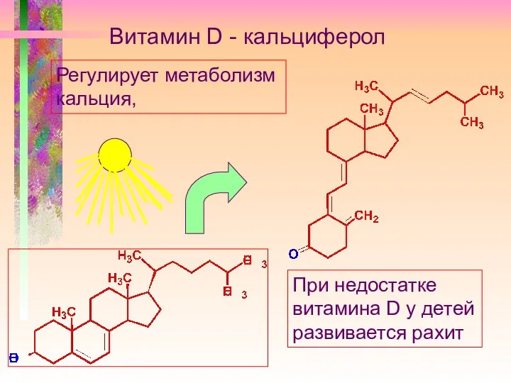 Витамин D - кальциферол Регулирует метаболизм кальция, При недостатке витамина D у детей развивается рахит