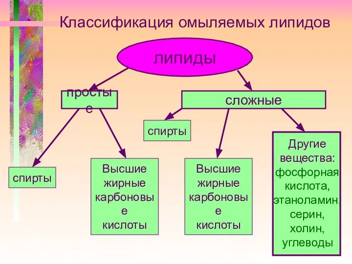 Классификация омыляемых липидов липиды простые спирты Высшие жирные карбоновые кислоты сложные