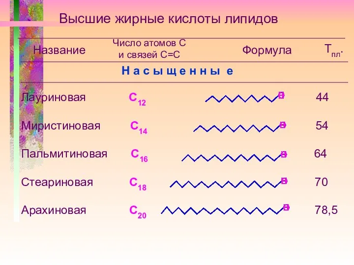 Высшие жирные кислоты липидов Название Н а с ы щ е