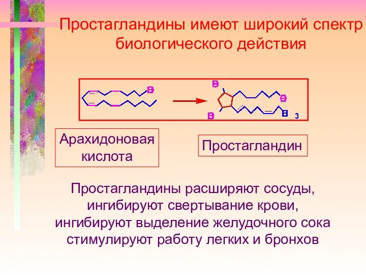 Простагландины имеют широкий спектр биологического действия Арахидоновая кислота Простагландин Простагландины расширяют