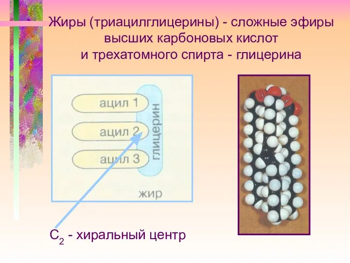 Жиры (триацилглицерины) - сложные эфиры высших карбоновых кислот и трехатомного спирта