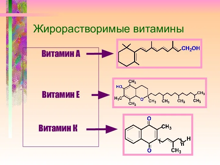 Жирорастворимые витамины Витамин А Витамин Е Витамин К