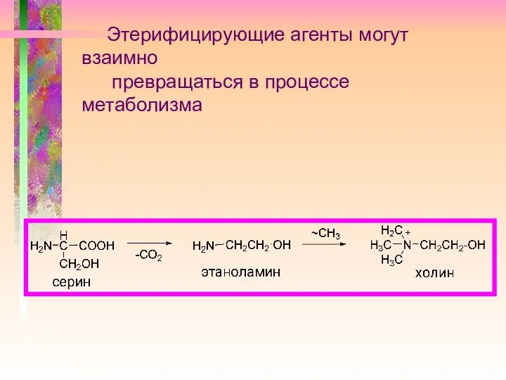 Этерифицирующие агенты могут взаимно превращаться в процессе метаболизма