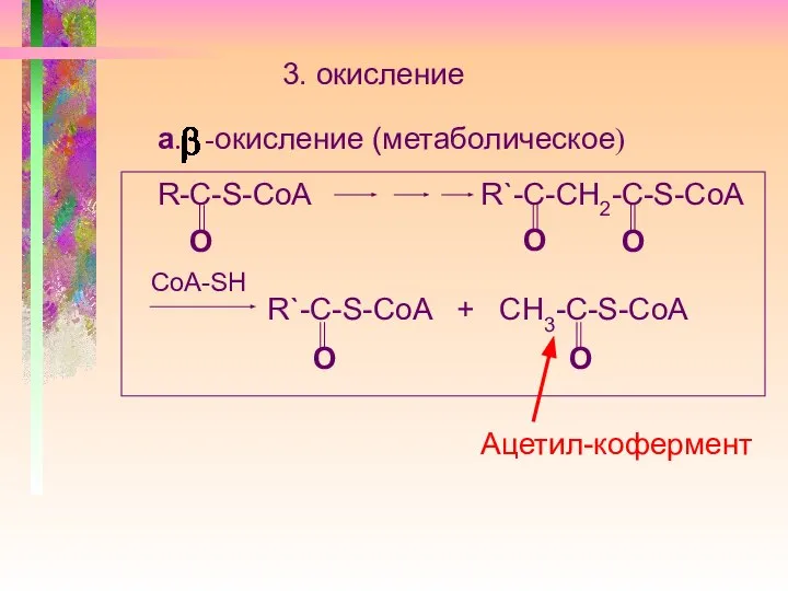 3. окисление а. -окисление (метаболическое) R-C-S-CoA R`-С-СН2-C-S-CoA O O O R`-C-S-CoA