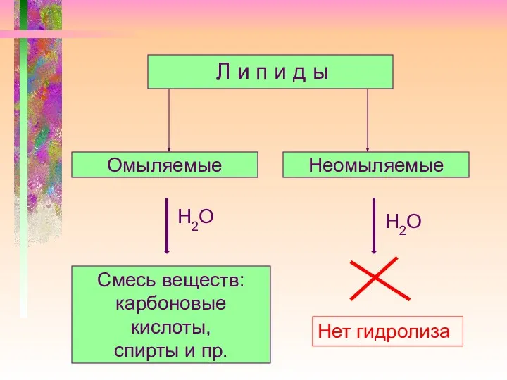 Л и п и д ы Омыляемые Неомыляемые Н2О Н2О Смесь