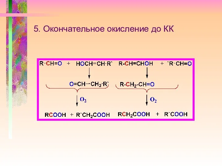 5. Окончательное окисление до КК