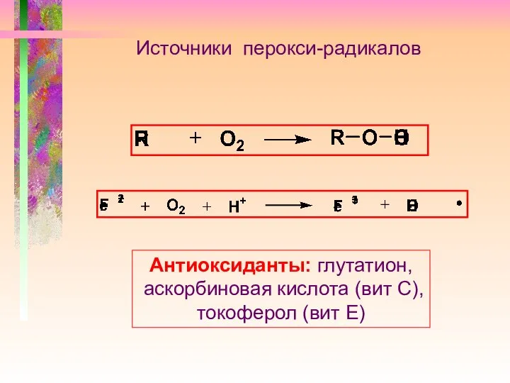 Источники перокси-радикалов Антиоксиданты: глутатион, аскорбиновая кислота (вит С), токоферол (вит Е)