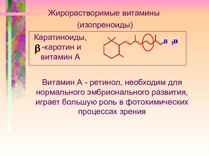 (изопреноиды) Каратиноиды, -каротин и витамин А Жирорастворимые витамины Витамин А -