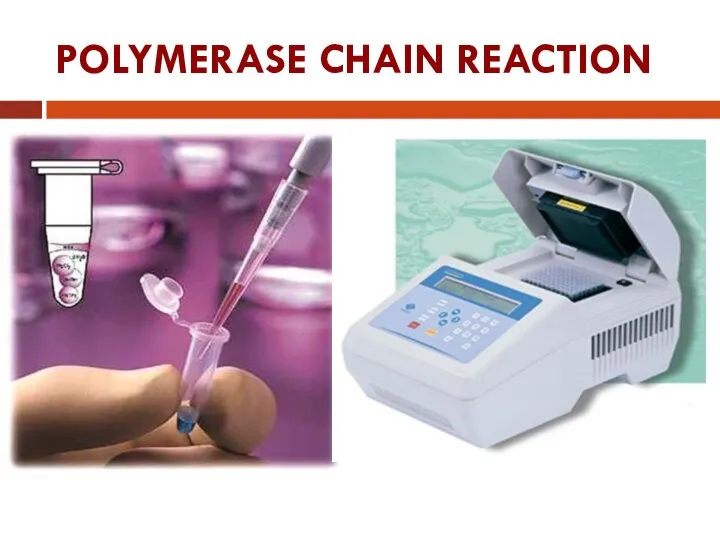 POLYMERASE CHAIN REACTION