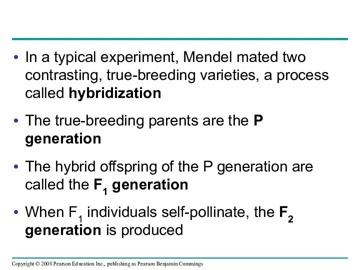 In a typical experiment, Mendel mated two contrasting, true-breeding varieties, a