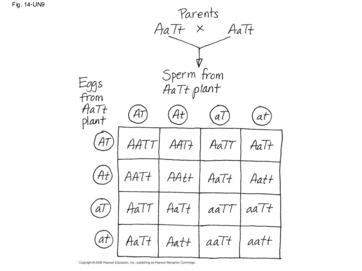 Fig. 14-UN9