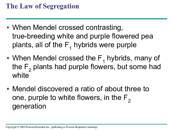 The Law of Segregation When Mendel crossed contrasting, true-breeding white and