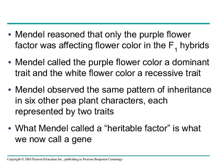 Mendel reasoned that only the purple flower factor was affecting flower
