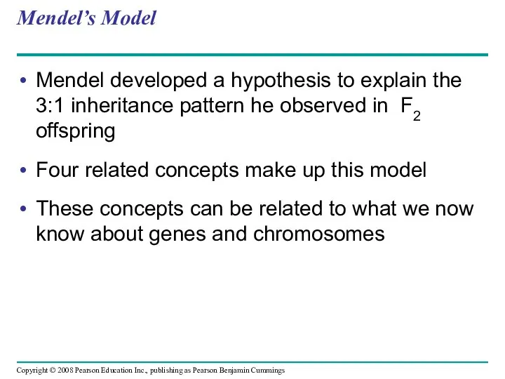 Mendel’s Model Mendel developed a hypothesis to explain the 3:1 inheritance