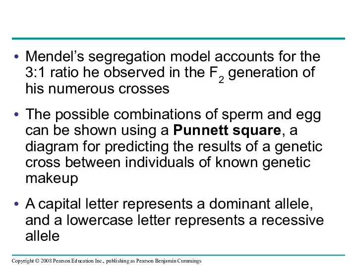 Mendel’s segregation model accounts for the 3:1 ratio he observed in