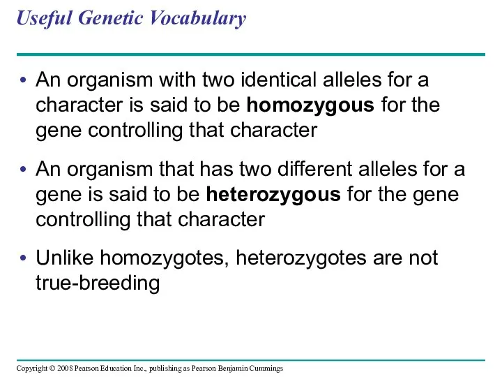 Useful Genetic Vocabulary An organism with two identical alleles for a