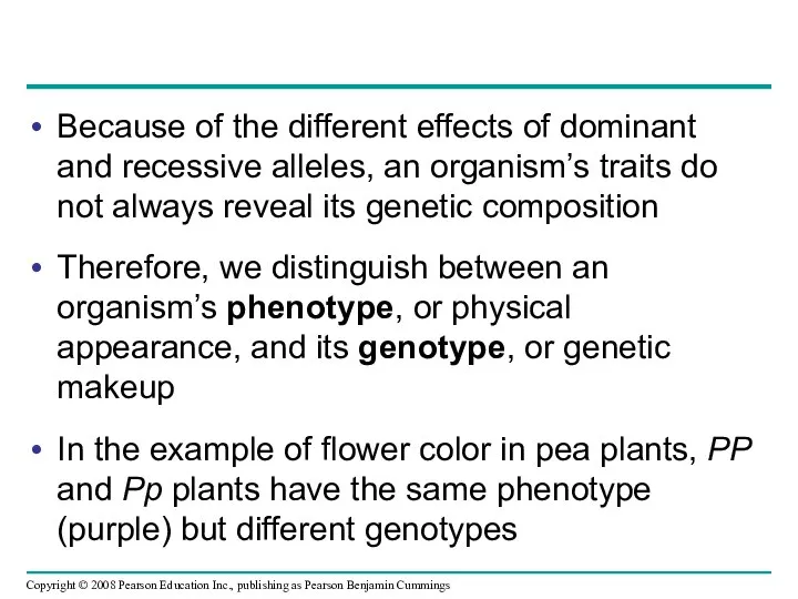 Because of the different effects of dominant and recessive alleles, an