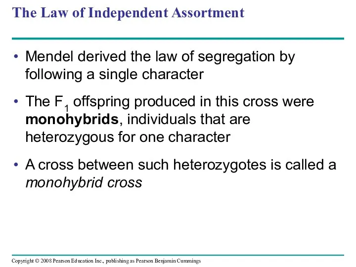 The Law of Independent Assortment Mendel derived the law of segregation