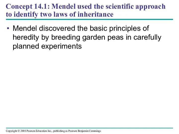 Concept 14.1: Mendel used the scientific approach to identify two laws