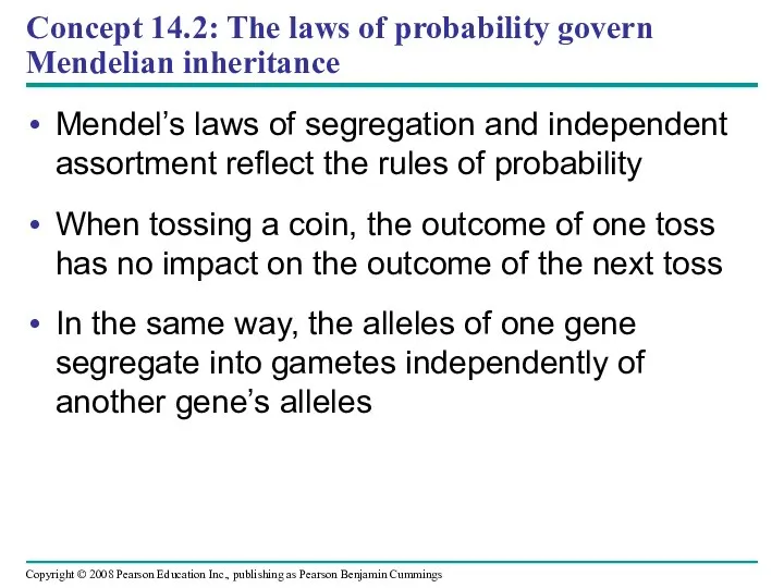 Concept 14.2: The laws of probability govern Mendelian inheritance Mendel’s laws