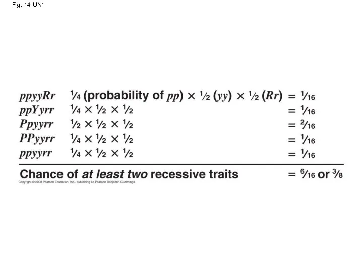 Fig. 14-UN1