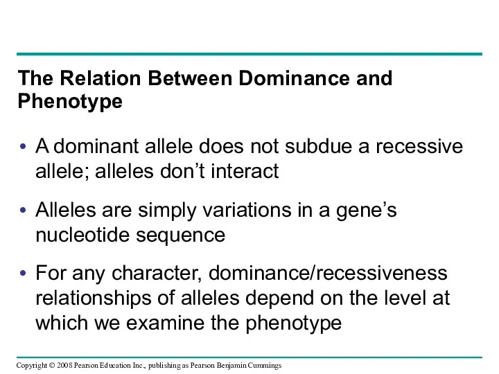 A dominant allele does not subdue a recessive allele; alleles don’t