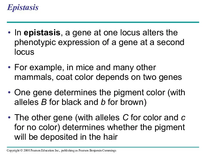 Epistasis In epistasis, a gene at one locus alters the phenotypic