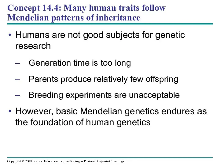 Concept 14.4: Many human traits follow Mendelian patterns of inheritance Humans