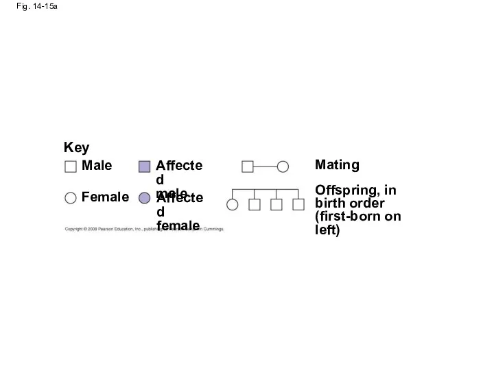 Fig. 14-15a Key Male Female Affected male Affected female Mating Offspring,