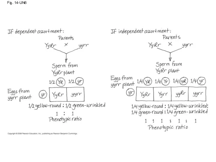 Fig. 14-UN6