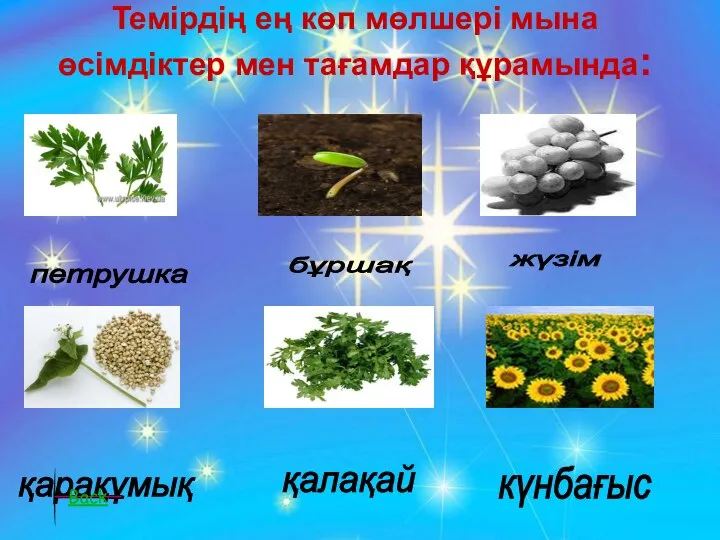 Темірдің ең көп мөлшері мына өсімдіктер мен тағамдар құрамында: күнбағыс петрушка бұршақ жүзім қалақай қарақұмық Back