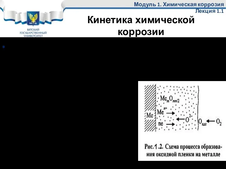 Модуль 1. Химическая коррозия Лекция 1.1 2- ой этап роста оксида