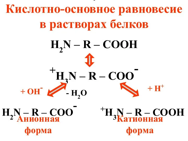 Кислотно-основное равновесие в растворах белков H2N – R – COOH +H3N