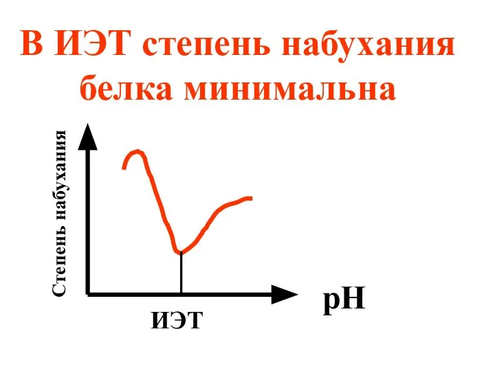 В ИЭТ степень набухания белка минимальна ИЭТ рН Степень набухания