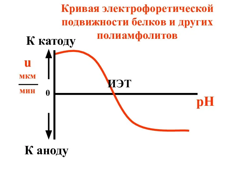 Кривая электрофоретической подвижности белков и других полиамфолитов u мкм мин pH