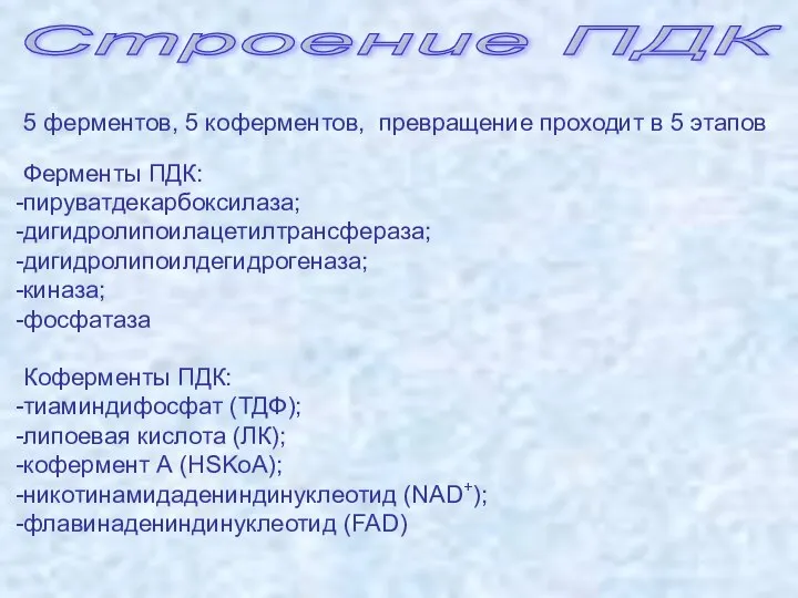 Строение ПДК 5 ферментов, 5 коферментов, превращение проходит в 5 этапов