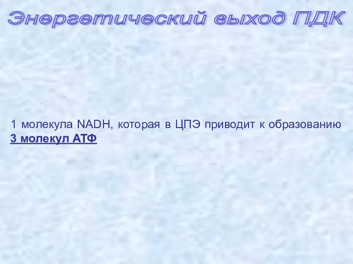 Энергетический выход ПДК 1 молекула NADH, которая в ЦПЭ приводит к образованию 3 молекул АТФ