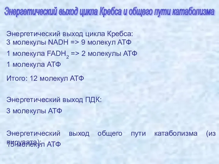 Энергетический выход цикла Кребса и общего пути катаболизма 3 молекулы NADH