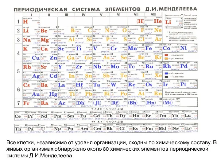 Все клетки, независимо от уровня организации, сходны по химическому составу. В