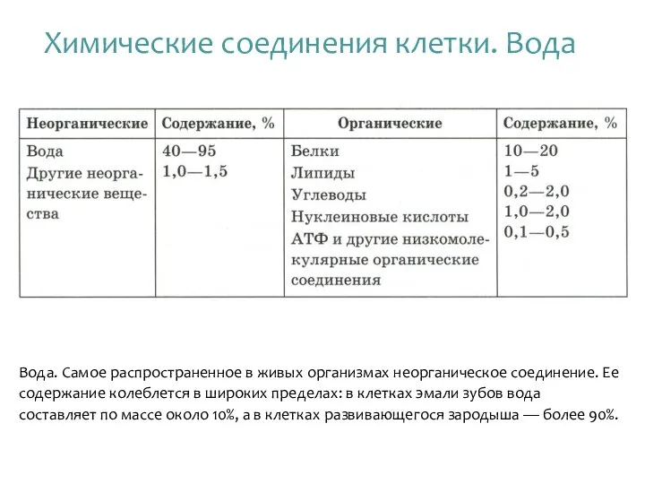 Вода. Самое распространенное в живых организмах неорганическое соединение. Ее содержание колеблется