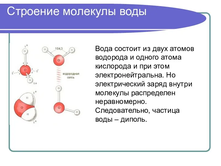 Строение молекулы воды Вода состоит из двух атомов водорода и одного