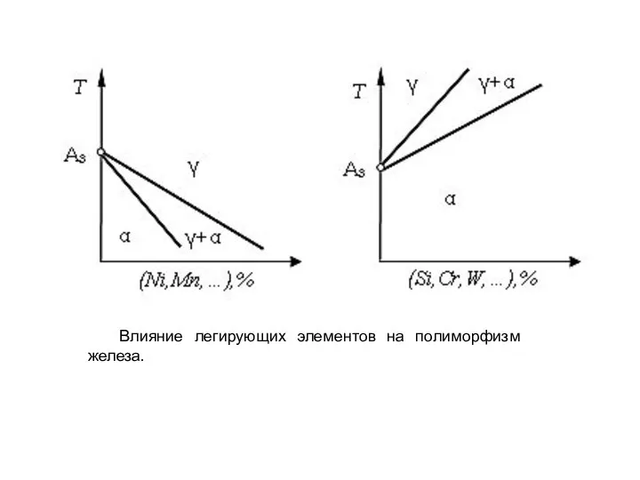 Влияние легирующих элементов на полиморфизм железа.